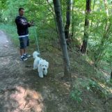 Winfred, 49 years old, Reading, USA